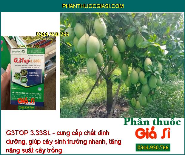 G3TOP 3.33SL - Kích Thích Sinh Trưởng - Tăng Đậu Hạt - To Lá - Kích Ra Hoa - Tăng Đậu Trái