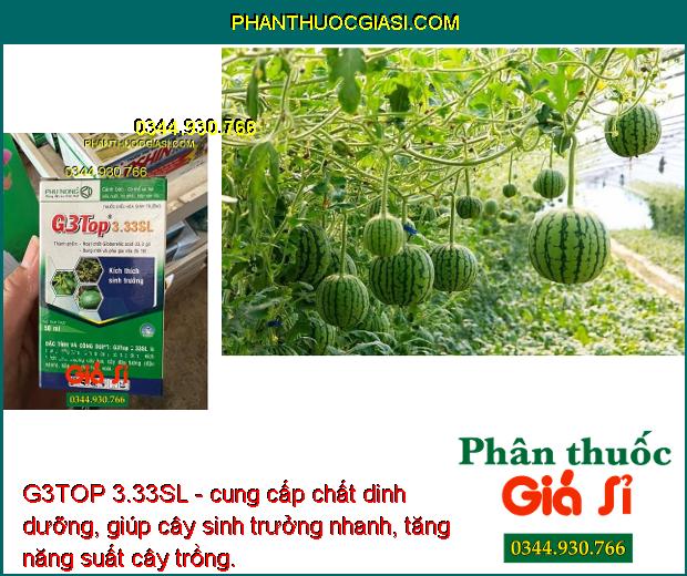 G3TOP 3.33SL - Kích Thích Sinh Trưởng - Tăng Đậu Hạt - To Lá - Kích Ra Hoa - Tăng Đậu Trái