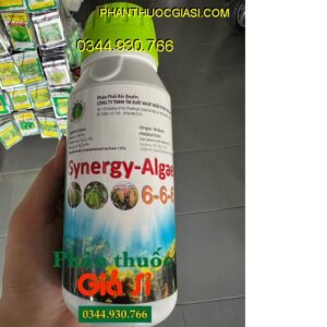 SYNERGY ALGAE 666 - Cây Phát Triển Nhanh - Sáng Bông - Hạt Phấn Khỏe - Dai Cuống Bông - Chống Rụng Bông - Trái Non