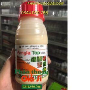 AMYLA TOP 325SC – Phòng Trừ Nấm Bệnh: Thán Thư - Sơ Đen - Lem Lép Hạt - Đốm Vằn