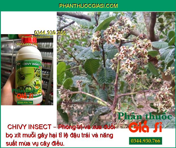  CHIVY INSECT – Phòng Trị Ruồi Đục Trái - Rệp Sáp - Mọt Đục Cành - Bọ Xít Muỗi