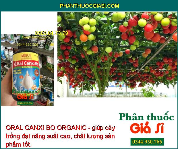 ORAL CANXI BO ORGANIC - Ra Hoa Đồng Loạt - Chống Rụng Hoa - Trái Non - Tăng Năng Suất