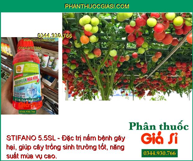 STIFANO 5.5SL - Đặc Trị Bạc Lá - Héo Xanh - Mốc Sương - Thối Gốc - Đốm Lá 