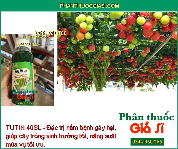 TUTIN 40SL - Đặc Trị Đạo Ôn Lá - Cổ Gié - Lem Lép Hạt - Thán Thư - Đốm Lá