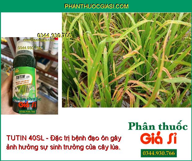 TUTIN 40SL - Đặc Trị Đạo Ôn Lá - Cổ Gié - Lem Lép Hạt - Thán Thư - Đốm Lá