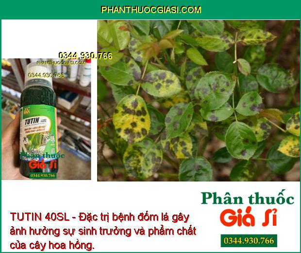 TUTIN 40SL - Đặc Trị Đạo Ôn Lá - Cổ Gié - Lem Lép Hạt - Thán Thư - Đốm Lá