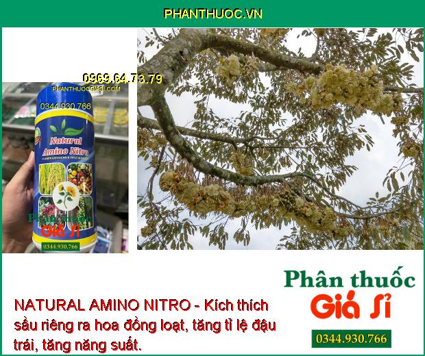 NATURAL AMINO NITRO - Ra Hoa Nhiều - Giảm Rụng Hoa -  Kích Nảy Mầm - Tăng Sức Đề Kháng