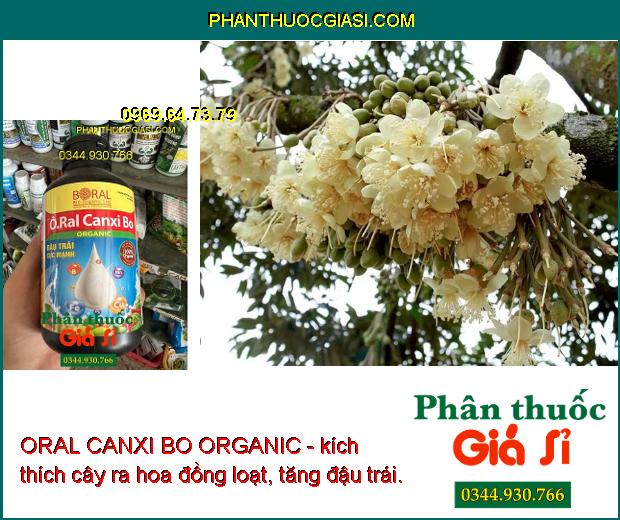 ORAL CANXI BO ORGANIC - Ra Hoa Đồng Loạt - Chống Rụng Hoa - Trái Non - Tăng Năng Suất