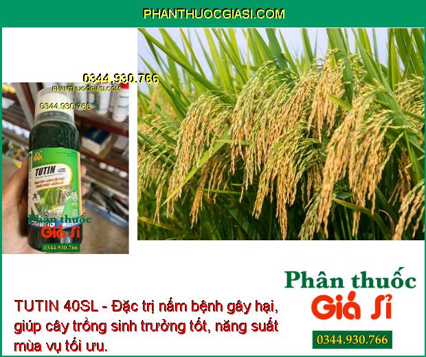 TUTIN 40SL - Đặc Trị Đạo Ôn Lá - Cổ Gié - Lem Lép Hạt - Thán Thư - Đốm Lá