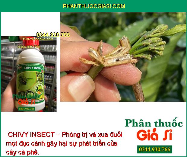  CHIVY INSECT – Phòng Trị Ruồi Đục Trái - Rệp Sáp - Mọt Đục Cành - Bọ Xít Muỗi