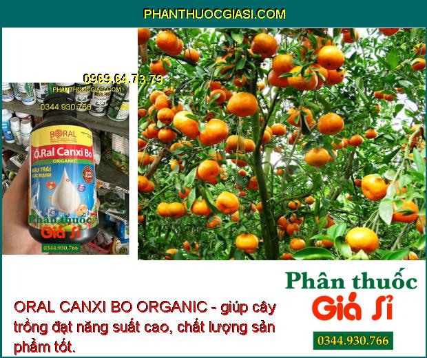 ORAL CANXI BO ORGANIC - Ra Hoa Đồng Loạt - Chống Rụng Hoa - Trái Non - Tăng Năng Suất