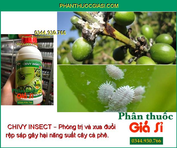  CHIVY INSECT – Phòng Trị Ruồi Đục Trái - Rệp Sáp - Mọt Đục Cành - Bọ Xít Muỗi