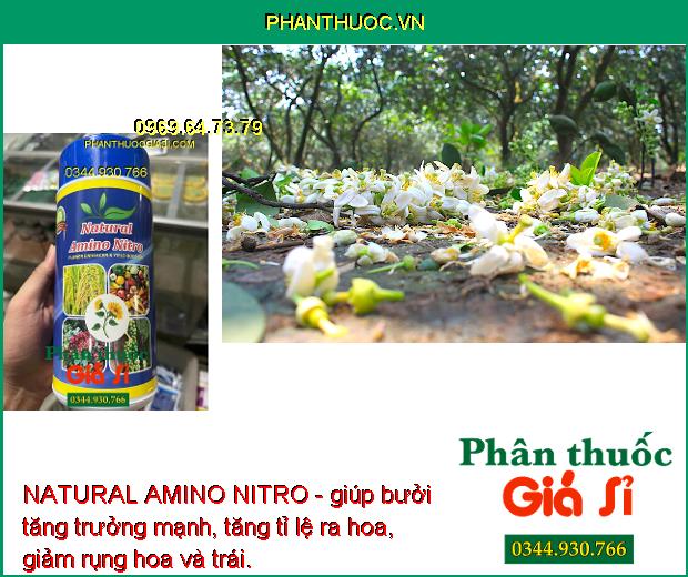 NATURAL AMINO NITRO - Ra Hoa Nhiều - Giảm Rụng Hoa -  Kích Nảy Mầm - Tăng Sức Đề Kháng