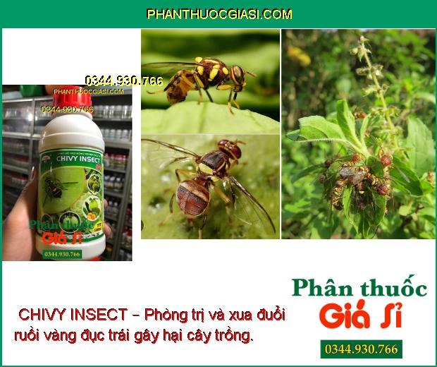  CHIVY INSECT – Phòng Trị Ruồi Đục Trái - Rệp Sáp - Mọt Đục Cành - Bọ Xít Muỗi