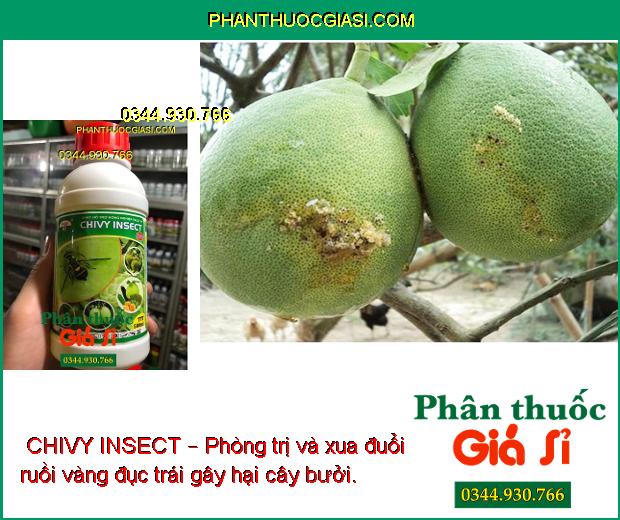  CHIVY INSECT – Phòng Trị Ruồi Đục Trái - Rệp Sáp - Mọt Đục Cành - Bọ Xít Muỗi