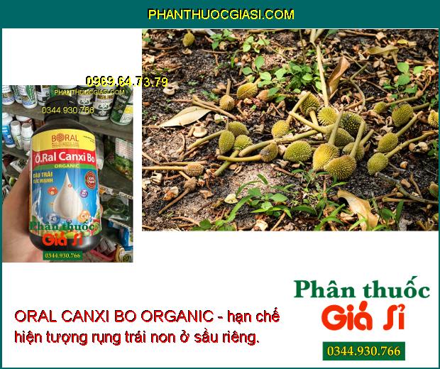 ORAL CANXI BO ORGANIC - Ra Hoa Đồng Loạt - Chống Rụng Hoa - Trái Non - Tăng Năng Suất