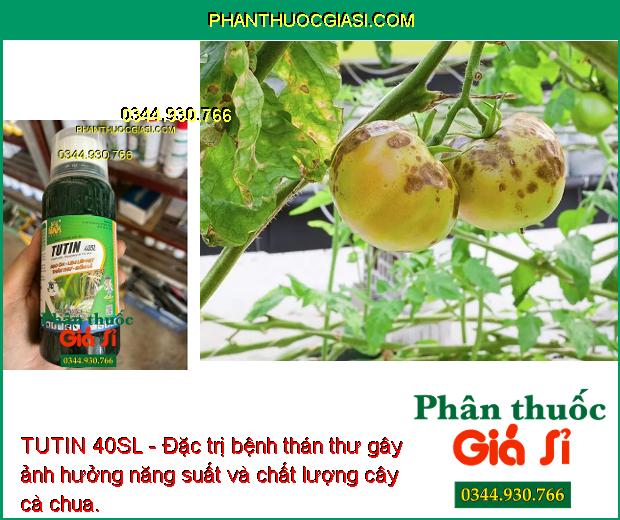 TUTIN 40SL - Đặc Trị Đạo Ôn Lá - Cổ Gié - Lem Lép Hạt - Thán Thư - Đốm Lá