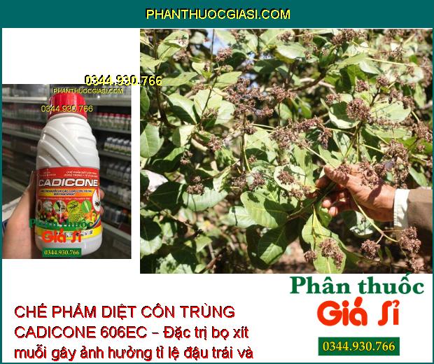 CHẾ PHẨM DIỆT CÔN TRÙNG CADICONE 606EC – Đặc Trị Muỗi - Nhện - Rệp Sáp - Bọ Xít Muỗi - Bọ Trĩ