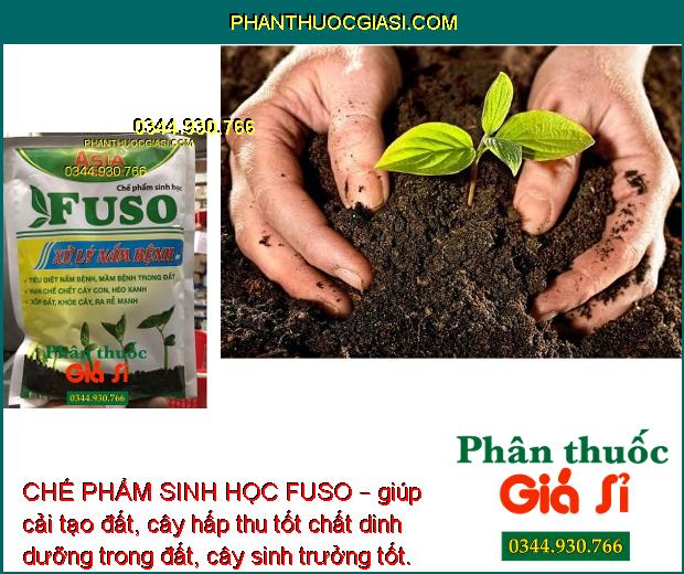 CHẾ PHẨM SINH HỌC FUSO – Đặc Trị Nấm Bệnh: Héo Rũ - Lở Cổ Rễ - Chết Cây Con