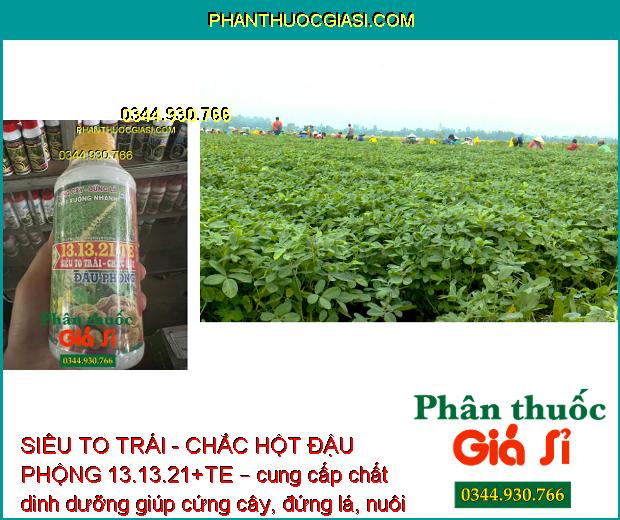 SIÊU TO TRÁI - CHẮC HỘT ĐẬU PHỘNG 13.13.21+TE – Cứng Cây - Đứng Lá - Hạn Chế Thối Trái - Trái To - Chắc Hột