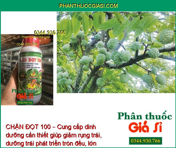 CHẶN ĐỌT 100 – Ức Chế Đọt Non - Hạn Chế Rụng Trái - Trái Lớn Nhanh - Tròn Đều