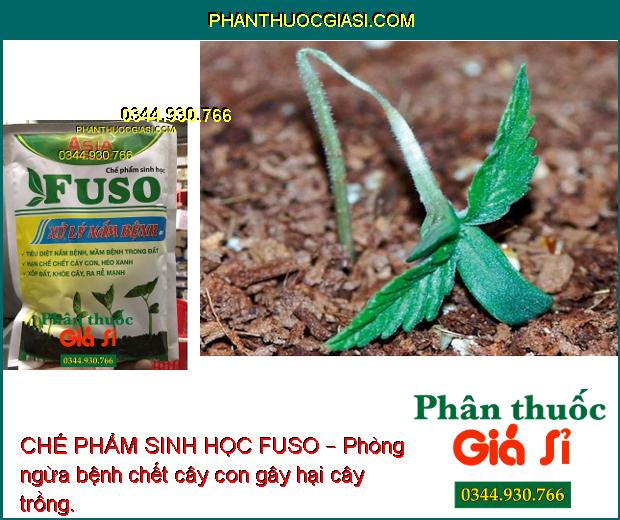 CHẾ PHẨM SINH HỌC FUSO – Đặc Trị Nấm Bệnh: Héo Rũ - Lở Cổ Rễ - Chết Cây Con