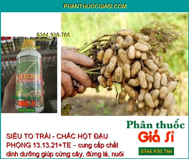 SIÊU TO TRÁI - CHẮC HỘT ĐẬU PHỘNG 13.13.21+TE – Cứng Cây - Đứng Lá - Hạn Chế Thối Trái - Trái To - Chắc Hột