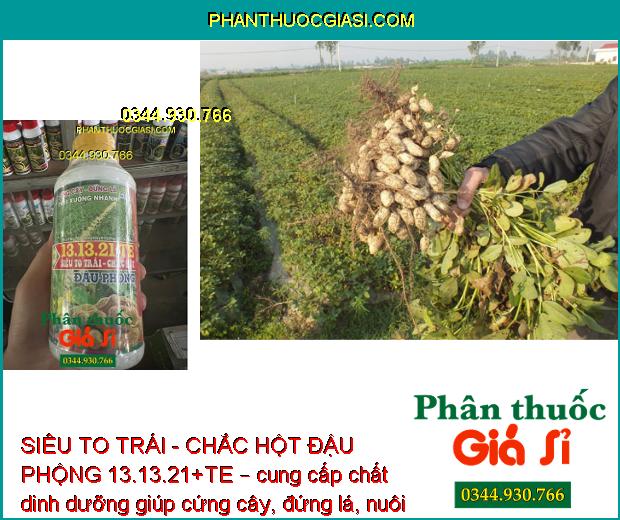 SIÊU TO TRÁI - CHẮC HỘT ĐẬU PHỘNG 13.13.21+TE – Cứng Cây - Đứng Lá - Hạn Chế Thối Trái - Trái To - Chắc Hột