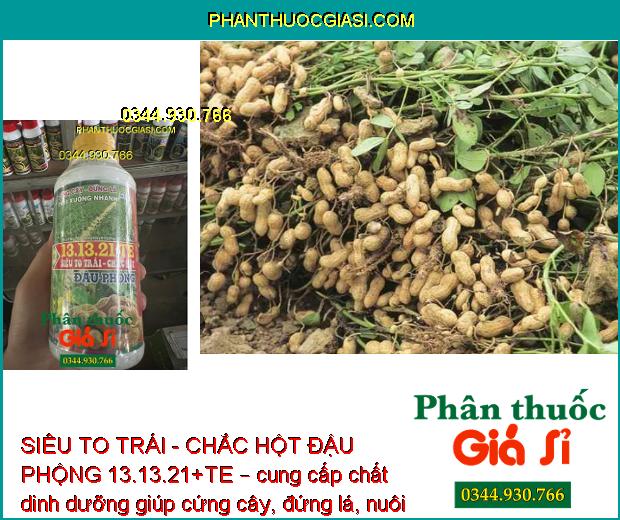 SIÊU TO TRÁI - CHẮC HỘT ĐẬU PHỘNG 13.13.21+TE – Cứng Cây - Đứng Lá - Hạn Chế Thối Trái - Trái To - Chắc Hột