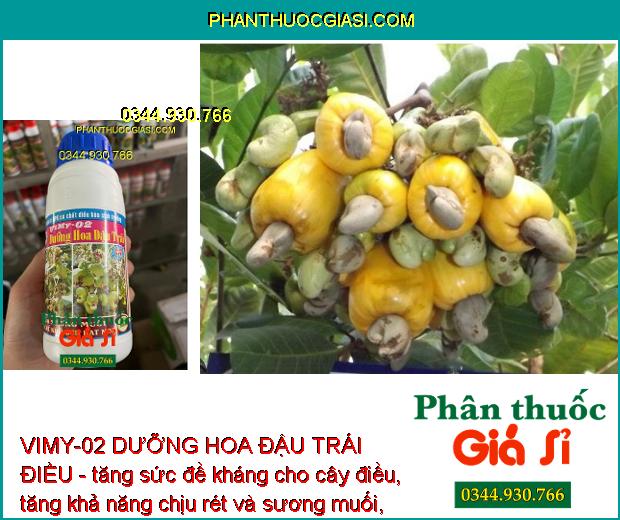 VIMY-02 DƯỠNG HOA ĐẬU TRÁI ĐIỀU - Hoa To Khỏe - Chống Rụng Hoa - Tăng Đậu Trái.
