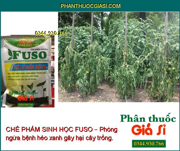 CHẾ PHẨM SINH HỌC FUSO – Đặc Trị Nấm Bệnh: Héo Rũ - Lở Cổ Rễ - Chết Cây Con