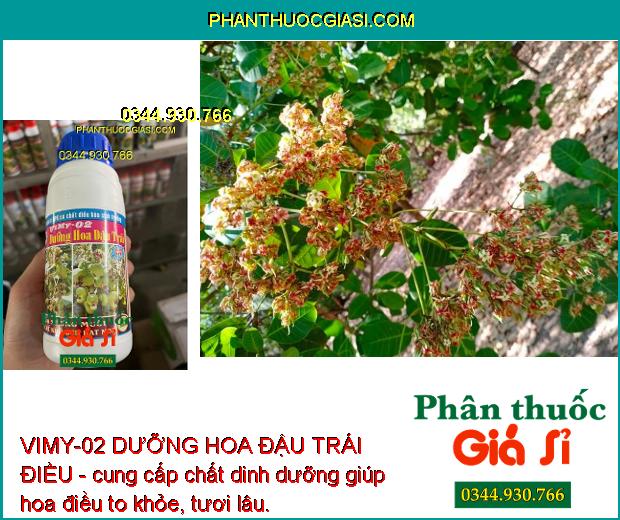 VIMY-02 DƯỠNG HOA ĐẬU TRÁI ĐIỀU - Hoa To Khỏe - Chống Rụng Hoa - Tăng Đậu Trái.