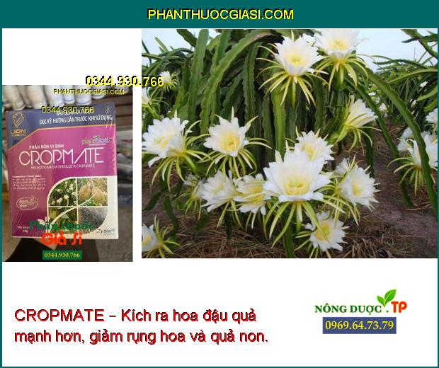 CROPMATE – Kích Rễ Phát Triển- Kích Ra Hoa - Đậu Quả - Giảm Rụng Hoa Và Trái Non.