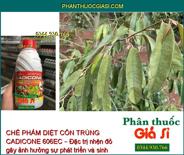 CHẾ PHẨM DIỆT CÔN TRÙNG CADICONE 606EC – Đặc Trị Muỗi - Nhện - Rệp Sáp - Bọ Xít Muỗi - Bọ Trĩ