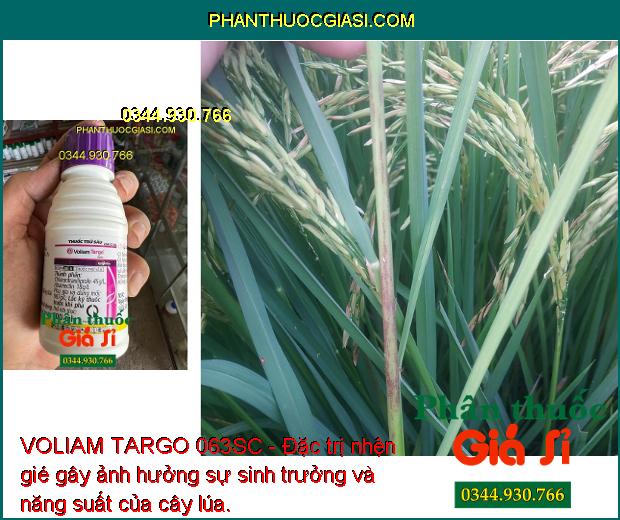 VOLIAM TARGO 063SC - Đặc Trị Sâu Cuốn Lá - Sâu Đục Thân - Nhện Gié - Sâu Keo