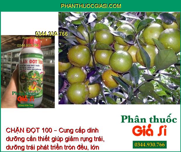 CHẶN ĐỌT 100 – Ức Chế Đọt Non - Hạn Chế Rụng Trái - Trái Lớn Nhanh - Tròn Đều