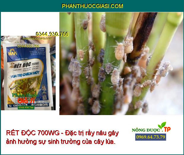 RẾT ĐỘC 700WG - Đặc Trị Rệp Muội - Rầy Nâu - Bọ Trĩ - Bọ Xít Muỗi - Rệp Sáp