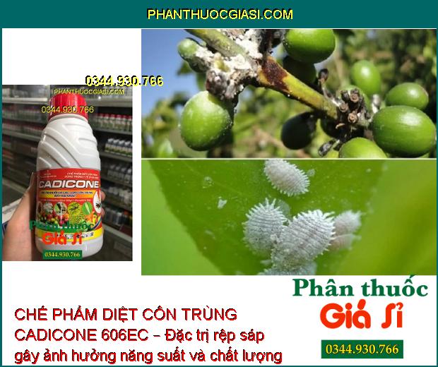 CHẾ PHẨM DIỆT CÔN TRÙNG CADICONE 606EC – Đặc Trị Muỗi - Nhện - Rệp Sáp - Bọ Xít Muỗi - Bọ Trĩ