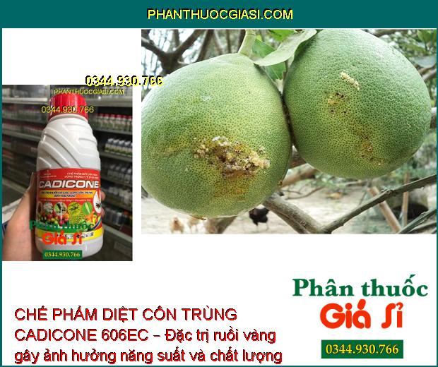 CHẾ PHẨM DIỆT CÔN TRÙNG CADICONE 606EC – Đặc Trị Muỗi - Nhện - Rệp Sáp - Bọ Xít Muỗi - Bọ Trĩ