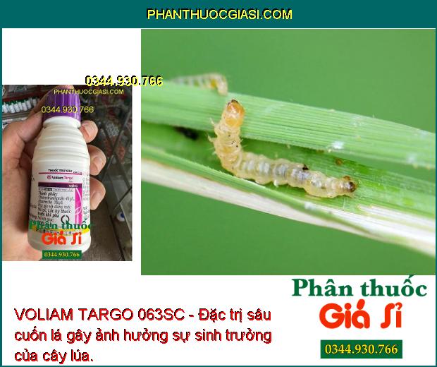 VOLIAM TARGO 063SC - Đặc Trị Sâu Cuốn Lá - Sâu Đục Thân - Nhện Gié - Sâu Keo