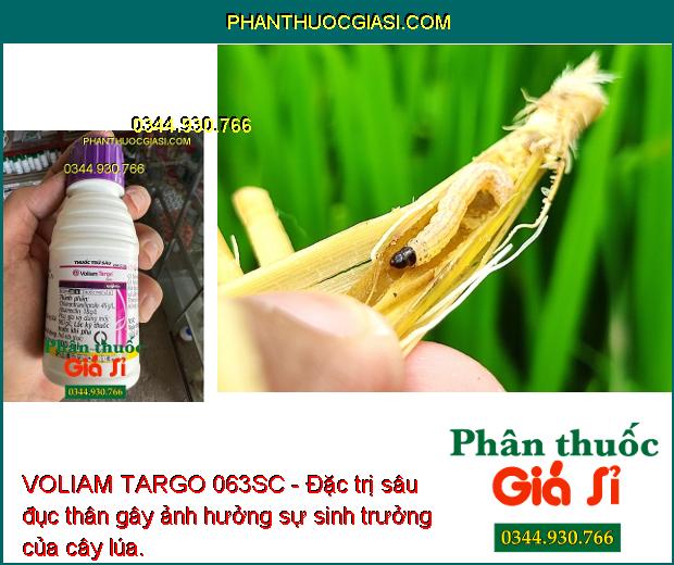 VOLIAM TARGO 063SC - Đặc Trị Sâu Cuốn Lá - Sâu Đục Thân - Nhện Gié - Sâu Keo