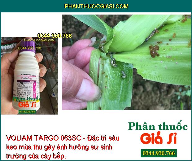 VOLIAM TARGO 063SC - Đặc Trị Sâu Cuốn Lá - Sâu Đục Thân - Nhện Gié - Sâu Keo