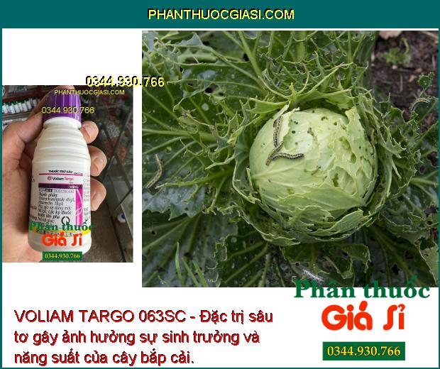 VOLIAM TARGO 063SC - Đặc Trị Sâu Cuốn Lá - Sâu Đục Thân - Nhện Gié - Sâu Keo