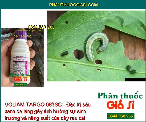 VOLIAM TARGO 063SC - Đặc Trị Sâu Cuốn Lá - Sâu Đục Thân - Nhện Gié - Sâu Keo