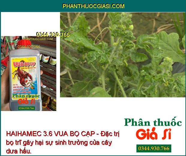 HAIHAMEC 3.6 VUA BỌ CẠP - Đặc Trị Côn Trùng Kháng Thuốc: Sâu Vẽ Bùa - Nhện Đỏ - Rầy Rệp - Sâu Đục Cuống