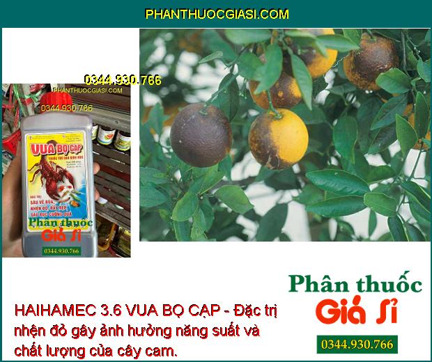 HAIHAMEC 3.6 VUA BỌ CẠP - Đặc Trị Côn Trùng Kháng Thuốc: Sâu Vẽ Bùa - Nhện Đỏ - Rầy Rệp - Sâu Đục Cuống