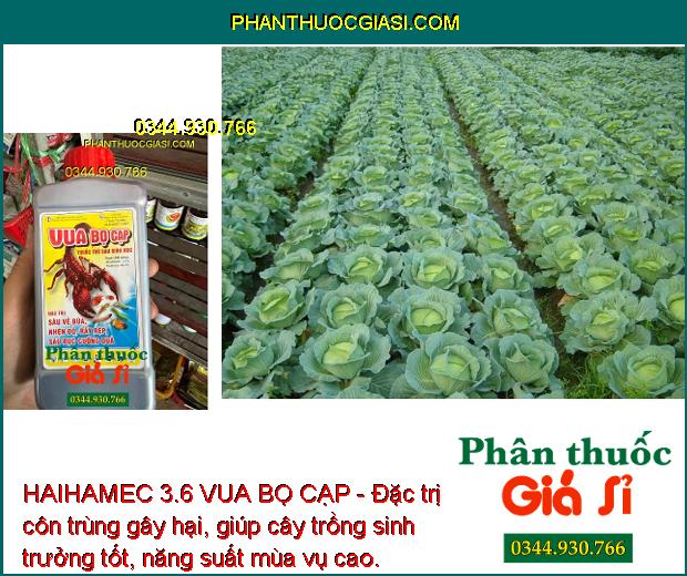 HAIHAMEC 3.6 VUA BỌ CẠP - Đặc Trị Côn Trùng Kháng Thuốc: Sâu Vẽ Bùa - Nhện Đỏ - Rầy Rệp - Sâu Đục Cuống