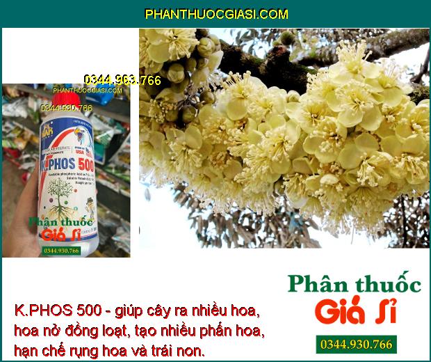 K.PHOS 500 - Ngăn Ngừa Nấm Bệnh - Kích Rễ Phát Triển - Mập Chồi - Hoa Nở Đồng Loạt - Chống Rụng Trái