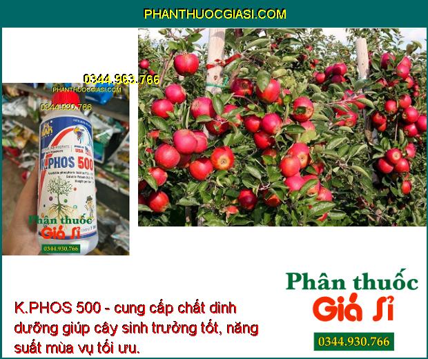 K.PHOS 500 - Ngăn Ngừa Nấm Bệnh - Kích Rễ Phát Triển - Mập Chồi - Hoa Nở Đồng Loạt - Chống Rụng Trái