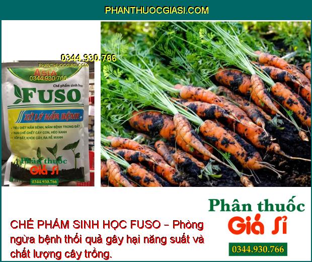 CHẾ PHẨM SINH HỌC FUSO – Đặc Trị Nấm Bệnh: Héo Rũ - Lở Cổ Rễ - Chết Cây Con